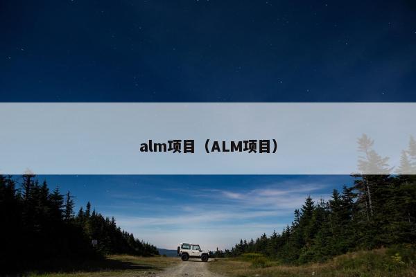 alm项目（ALM项目）