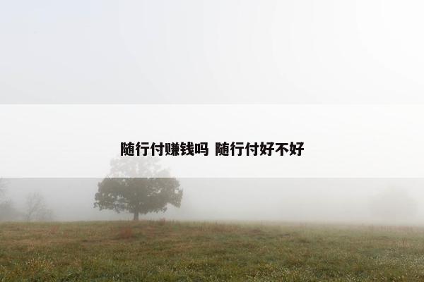 随行付赚钱吗 随行付好不好