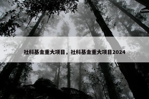 社科基金重大项目，社科基金重大项目2024