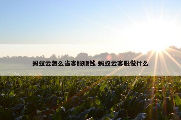 蚂蚁云怎么当客服赚钱 蚂蚁云客服做什么