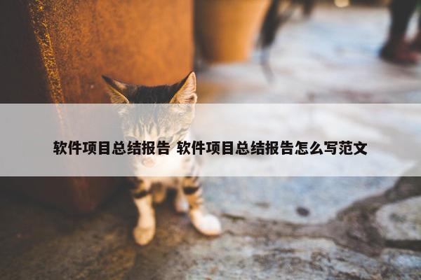 软件项目总结报告 软件项目总结报告怎么写范文