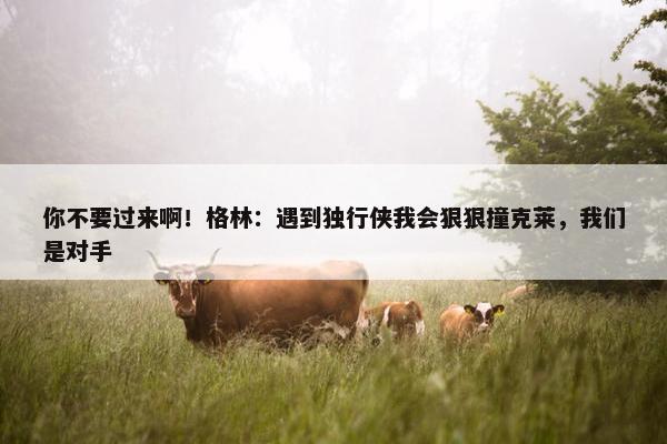 你不要过来啊！格林：遇到独行侠我会狠狠撞克莱，我们是对手