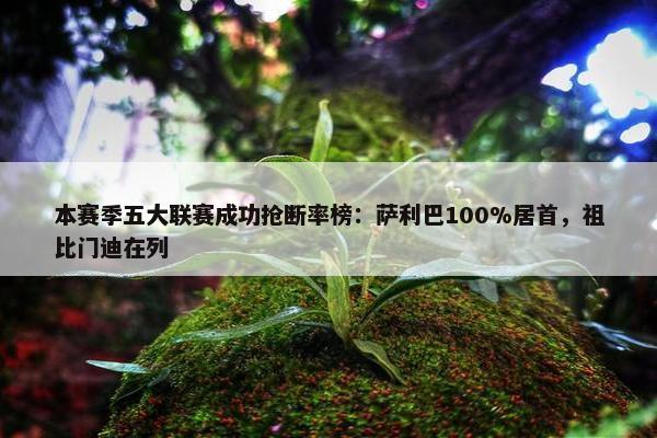 本赛季五大联赛成功抢断率榜：萨利巴100%居首，祖比门迪在列