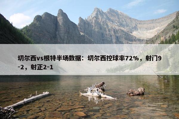 切尔西vs根特半场数据：切尔西控球率72%，射门9-2，射正2-1