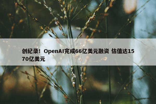 创纪录！OpenAI完成66亿美元融资 估值达1570亿美元